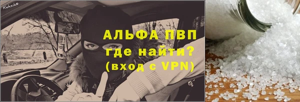 стаф Касимов