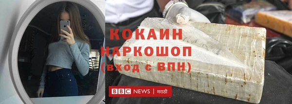 стаф Касимов