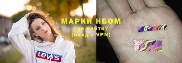 стаф Касимов