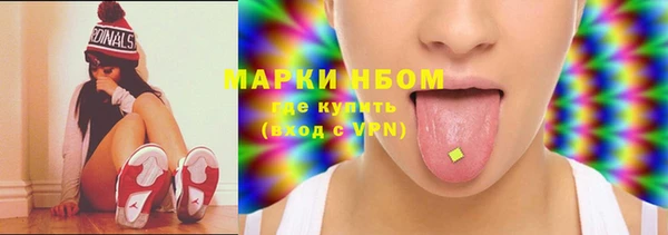 стаф Касимов