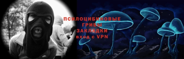 стаф Касимов