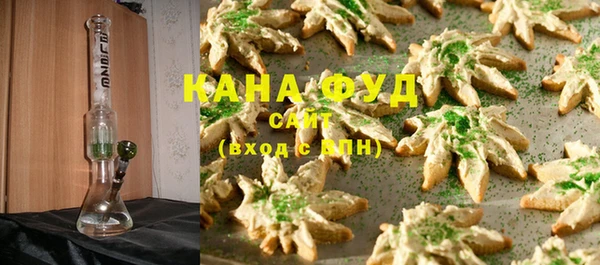 стаф Касимов