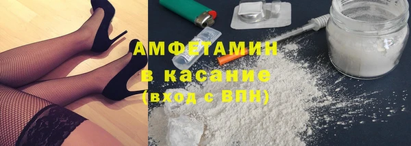 стаф Касимов