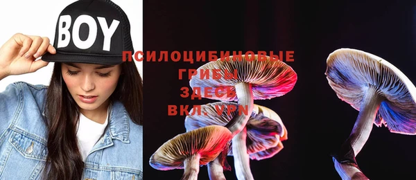 крисы Карталы