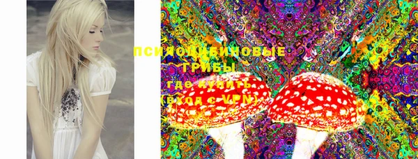 марки lsd Карпинск