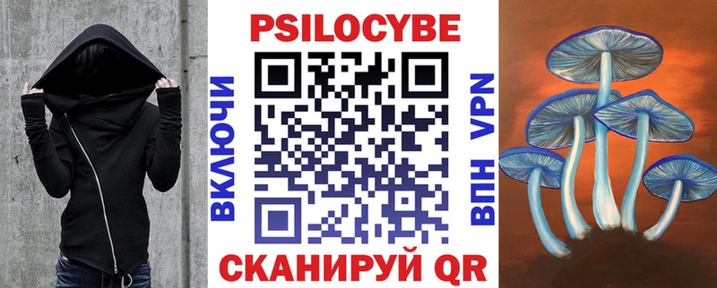Галлюциногенные грибы MAGIC MUSHROOMS  Купить закладки  Мглин 