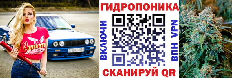 Купить где  Мглин  Шишки марихуана планчик 